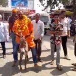 WATCH VIDEO : नामांकन दाखिल करने गधे पर सवार होकर पहुंचे BJP के बागी नेता, देखें वीडियो