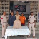 CG CRIME : खेत में लगे अदरक की खुदाई कर चोरी कर ले गये थे तीन शातिर, पुलिस ने किया गिरफ्तार 