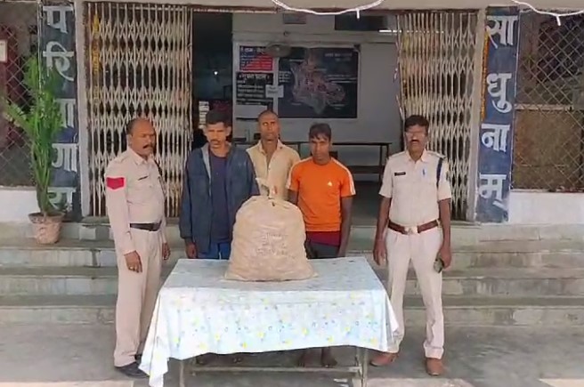 CG CRIME : खेत में लगे अदरक की खुदाई कर चोरी कर ले गये थे तीन शातिर, पुलिस ने किया गिरफ्तार 