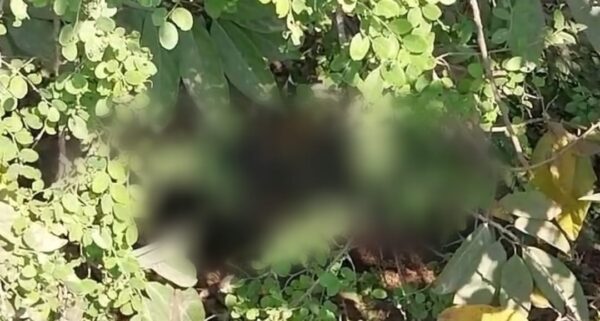 CG BREAKING : NH 30 में मिली युवक की क्षत विक्षत लाश, फैली सनसनी, हत्या कर फेंकने की आशंका 