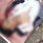 CG CRIME : विवाद के बाद युवक की हत्या, पुलिस ने आरोपी को किया गिरफ्तार 