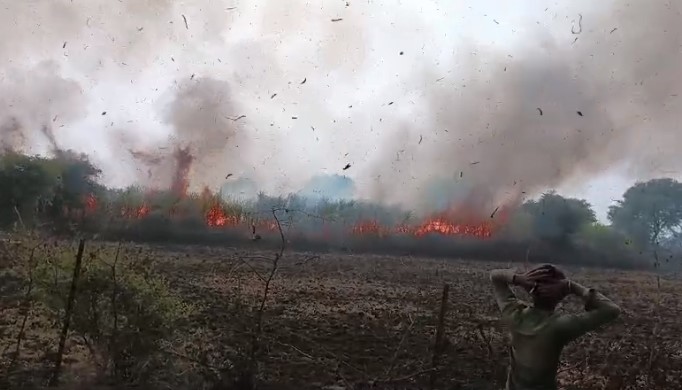 CG BREAKING : गन्ने की खेत में लगी भीषण आग, 50 से 60 एकड़ फसल जलकर खाक, किसानों को लाखों का नुकसान 