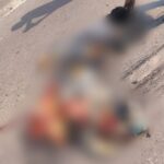 CG ACCIDENT NEWS : अनियंत्रित होकर बाइक से गिरे तीन युवक, ट्रेलर वाहन के नीचे दबने से एक की दर्दनाक मौत