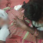 CG BREAKING : 3 साल के बच्ची पर तेंदुए ने किया हमला, इलाके में दहशत का माहौल