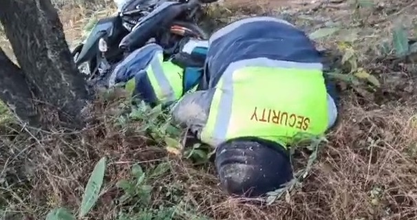 CG ACCIDENT NEWS : बाइक सवार दो युवकों की पेड़ से टकराने से मौत, ड्यूटी से घर जाने के दौरान हुआ हादसा 