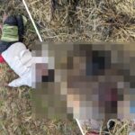 CG NEWS : पत्नी की हत्या कर पति ने की आत्महत्या, खेत में पड़ी मिली दोनों की लाश, जांच में जुटी पुलिस 