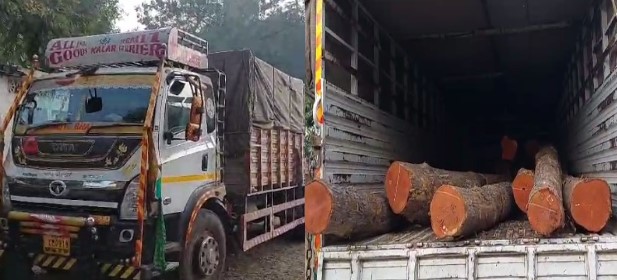 MP CRIME : फिल्मी स्टाइल में सागौन की तस्करी: वन विभाग की दबिश पर ट्रक छोड़कर भागे आरोपी, दो लाख की सागौन लकड़ी जब्त