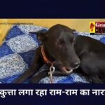CG VIDEO : भगवान की भक्ति में कुत्ता, राम-राम का लगा रहा नारा