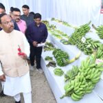 CG NEWS : फूलों की खेती में उत्कृष्ट कार्य करने वाले किसानों को किया जाएगा सम्मानित : मंत्री रामविचार नेताम
