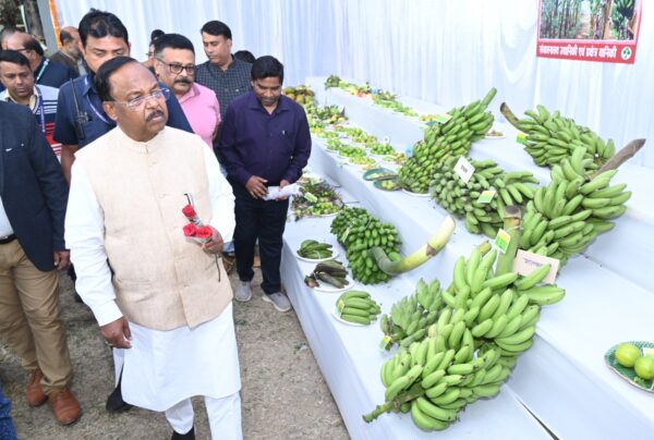 CG NEWS : फूलों की खेती में उत्कृष्ट कार्य करने वाले किसानों को किया जाएगा सम्मानित : मंत्री रामविचार नेताम