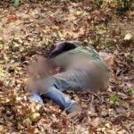 CG NEWS : जंगल में युवक की निर्मम हत्या, अज्ञात आरोपियों ने अपहरण कर वाहन से रगड़ा, फिर पत्थर से कुचलकर उतारा मौत के घाट 