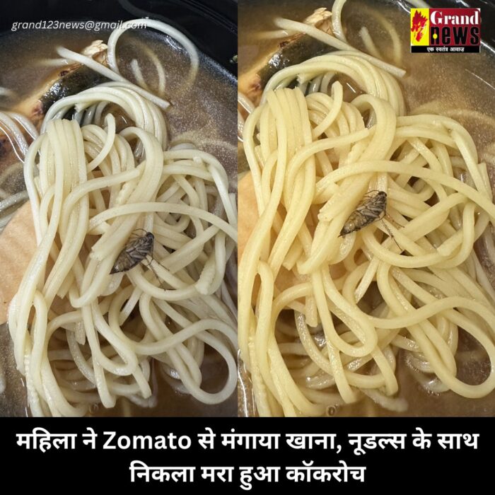 Dead cockroach in noodles : महिला ने Zomato से मंगाया खाना, नूडल्स के साथ निकला मरा हुआ कॉकरोच