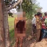   CG NEWS : शुगर, बीपी, और पेट दर्द परेशान व्यक्ति ने दे दी जान, पेड़ पर फंदे से लटकती मिली लाश 