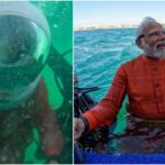 PM Modi Scuba Diving : लक्षद्वीप के बाद अब द्वारका में पीएम मोदी ने की स्कूबा डाइविंग, पोस्ट कर लिखी यह बात, देखें फोटोज 
