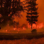 BIG NEWS : चिली के जंगलों में लगी भीषण आग, 46 लोगों की जलकर मौत