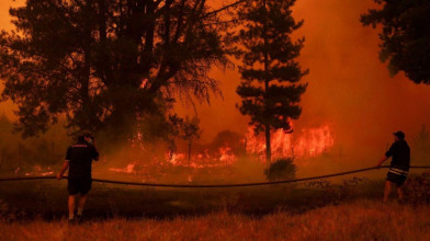BIG NEWS : चिली के जंगलों में लगी भीषण आग, 46 लोगों की जलकर मौत