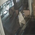 RAIPUR VIDEO : घूंघट ओढ़कर चोरी करने पहुंचा चोर, उड़ा ले गया सायकल, कारोबारी ने पकड़ा, थाने से हो गया फरार 