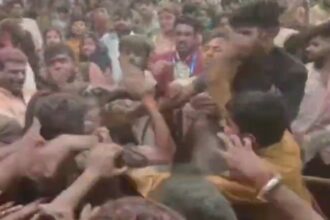 VIDEO : महाकाल मंदिर में आगजनी के बाद मारपीट का वीडियो, सिक्योरिटी गार्ड से भिड़े बाबा के दर्शन करने आए युवक, देखें वीडियो 