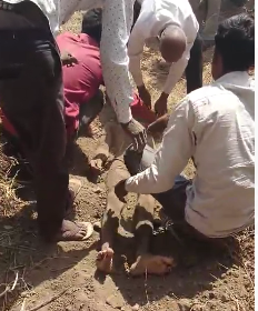 CRIME NEWS : खेत में सो रहे किसान की धारदार हथियार से हत्या, हत्यारे ने शव जमीन में किया दफन