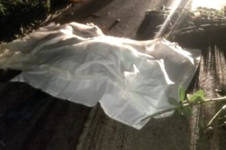 CG ACCIDENT NEWS : ट्रक ने साइकिल सवार चौकीदार को रौंदा, मौके पर हुई मौत 