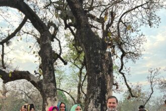 Rahul Gandhi : राहुल गांधी का अनोखा अंदाज, आदिवासी महिलाओं को महुआ बीनता देख मिलने पहुंचे और ख़ुद भी बीनने लगे 