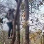 CG NEWS : हत्या या आत्महत्या; जंगल में फंदे पर लटकती मिली युवक की लाश, अगले महीने होने वाली थी शादी