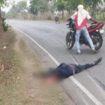 CG ACCIDENT NEWS : तेज रफ्तार ट्रक की टक्कर से बाइक सवार युवक की दर्दनाक मौत, सिर के हुए कई टुकड़े, दूसरे की हालत गंभीर 