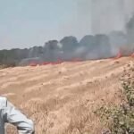Raisen Breaking : गेहूं की फसल में लगी भीषण आग, नौ एकड़ की फसल जलकर खाक, किसानों को लाखों का नुकसान 