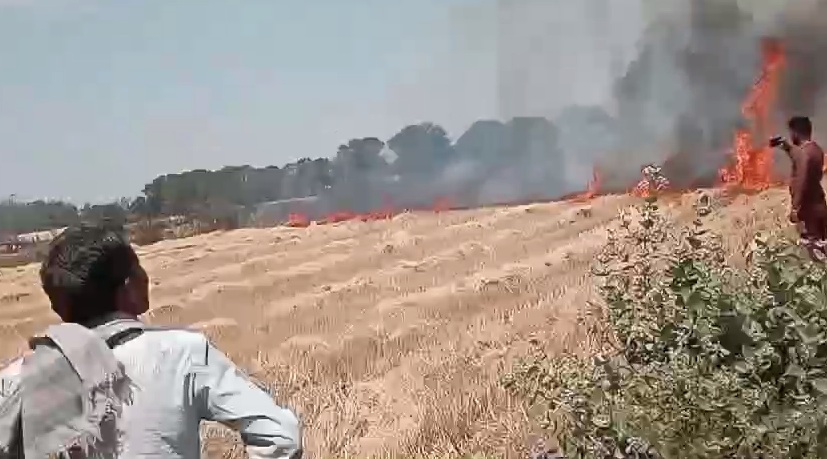 Raisen Breaking : गेहूं की फसल में लगी भीषण आग, नौ एकड़ की फसल जलकर खाक, किसानों को लाखों का नुकसान 