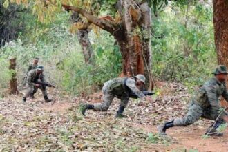 Two Naxalites killed in CG : बीजापुर मुठभेड़ में दो नक्सली ढेर 