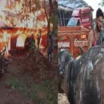 MP News: झोपड़ी में भभकी आग से तीन मवेशी जले, तीन झुलसे, कृषि यंत्र खाक