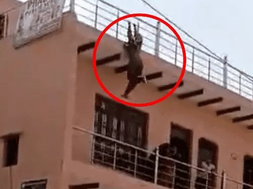 Shocking News: 25 फीट ऊंचाई से गिरी गर्भवती महिला, 23 सेकेंड तक छत से लटकी रही… फिर छूट गया हाथ