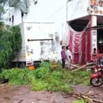 CG NEWS: किसानों के लिए चिंता की बारिश, बेमौसम बरसात से रबी की फसल चौपट