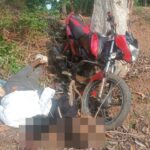 CG ACCIDENT NEWS : शादी समारोह में शामिल होने जा रहे तीन युवकों की बाइक पेड़ से टकराई, तीनों की मौके पर मौत, पसरा मातम 