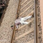RAIPUR NEWS : ट्रेन से कटकर युवक ने की आत्महत्या, धड़ से अलग मिला सिर  