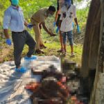 RAIPUR BREAKING : कौशिल्या विहार के झाड़ियों में मिली महिला की लाश, सिर पर मिले चोट के निशान, जांच में जुटी पुलिस  