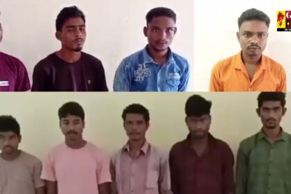 9 Naxalites arrested in Chhattisgarh : एक लाख के इनामी समेत 9 नक्सली गिरफ्तार, विस्फोटक, टिफिन बम समेत नक्सल सामग्री बरामद 
