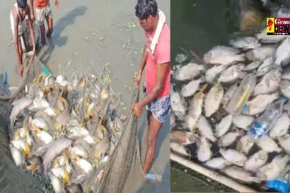 Raipur News: राजधानी के मरीन-ड्राइव में मर रहीं मछलियां, तालाब से आ रही गंदी बदबू, जानिए वजह