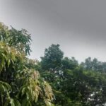 Alert in Raipur: रायपुर में भारी बारिश का अलर्ट जारी, रायपुर, दुर्ग, बिलासपुर में होगी झमाझम बारिश
