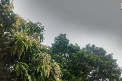 Alert in Raipur: रायपुर में भारी बारिश का अलर्ट जारी, रायपुर, दुर्ग, बिलासपुर में होगी झमाझम बारिश