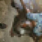 CG CRIME : घर में महिला की सड़ी गली लाश मिलने से मचा हड़कंप, पुलिस जांच में जुटी 