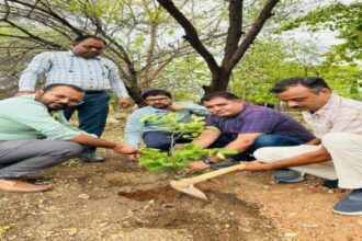 World Environment Day: विश्व पर्यावरण दिवस पर कम्युनिटी एक्शन थ्रू मोटिवेशनल प्रोग्राम द्वारा पौधारोपण कर पर्यावरण संरक्षण का दिया संदेश