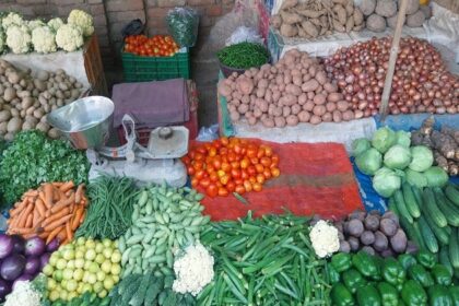 Vegetable Price Rise : टमाटर ही नहीं कई सब्जियों के बढ़े दाम, लोकसभा चुनाव के बाद इस वजह से जनता को मिल रही महंगाई की मार  