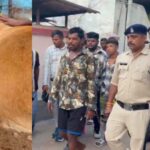 Chhattisgarh : गर्भवती गाय के पेट पर चाकू से हमला करने वाले आरोपी ने पुलिस ने धरदबोचा 