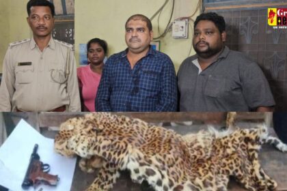 Chhattisgarh Crime : तेंदुए की खाल मामले में फरार मुख्य आरोपी गिरफ्तार 