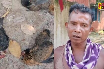 Chhattisgarh : मुर्गियों को इंसाफ दिलाने थाने पहुंचा शख्स, पड़ोसी पर जहर देकर मारने का आरोप, पुलिस से कार्रवाई की लगाई गुहार