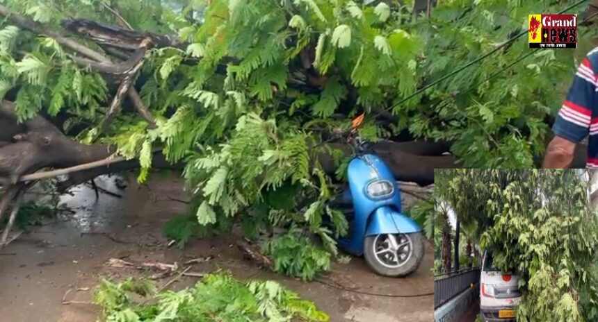 Raipur News: जय नारायण पांडे गवर्नमेंट स्कूल के सामने पेड़ गिरा, दो स्कूटी और एक पिकअप वाहन दबे