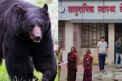 CG NEWS : शौच के लिए व्यक्ति पर भालू ने किया हमला, नहीं पहुंचे डॉक्टर, एंबुलेंस स्टाफ और वार्ड बॉय करते रहे इलाज, हुई मौत 