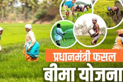 Chhattisgarh : किसानों के लिए बड़ी खबर, अब इस तारीख कर करा सकेंगे खरीफ फसलों का बीमा