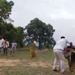 Betul viral video : जमीनी विवाद को लेकर दबंगों ने किसान की कर दी पिटाई, देखें मारपीट का वायरल वीडियो